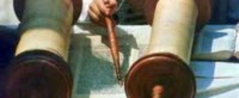 SimchotTorah SimchotTorah